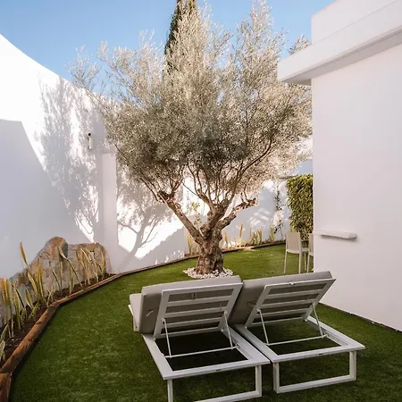 酒店 Silvi By Tam 普拉亚戴尔雷安格莱斯