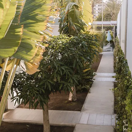 Silvi By Tam 酒店 普拉亚戴尔雷安格莱斯