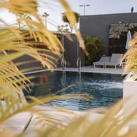 酒店 Silvi By Tam 普拉亚戴尔雷安格莱斯