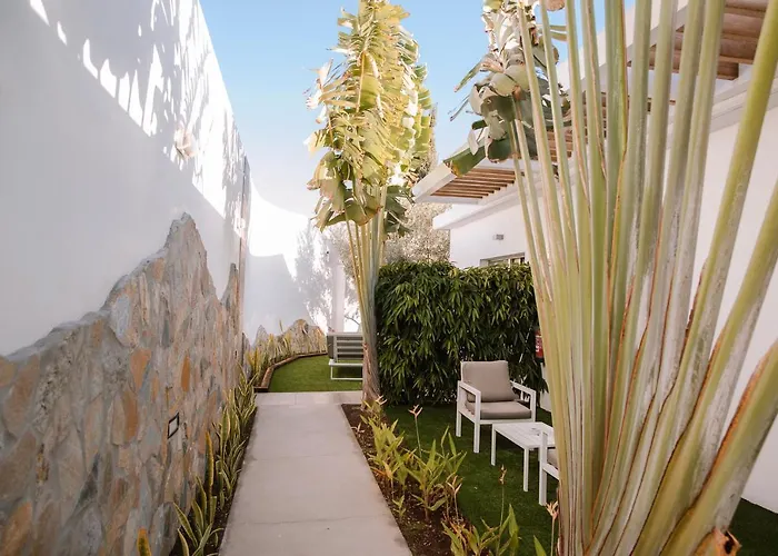 Hotel Silvi By Tam Playa del Inglés