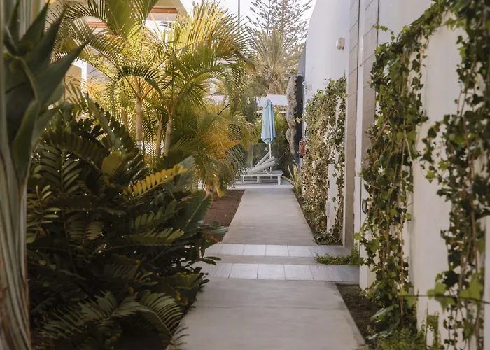 Silvi By Tam Playa del Inglés